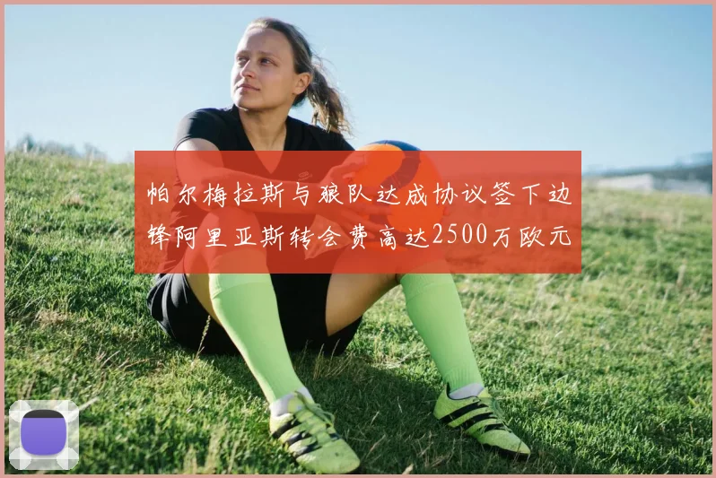 帕尔梅拉斯与狼队达成协议签下边锋阿里亚斯转会费高达2500万欧元