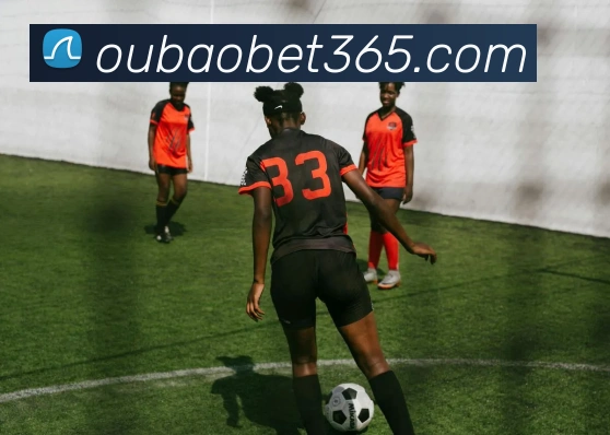 欧宝体育平台生态图